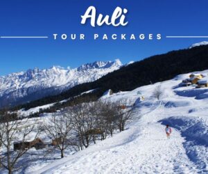 Auli-tour-packages